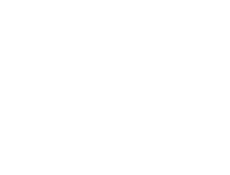 Infotech Infosis Solutions
